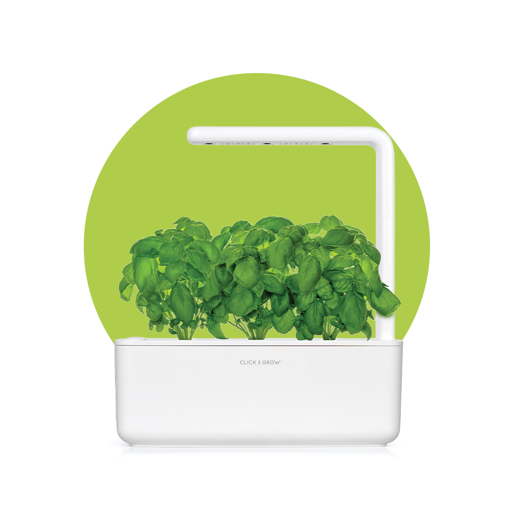 Indoor Garden
