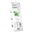 Click & Grow Seeds Arugula
