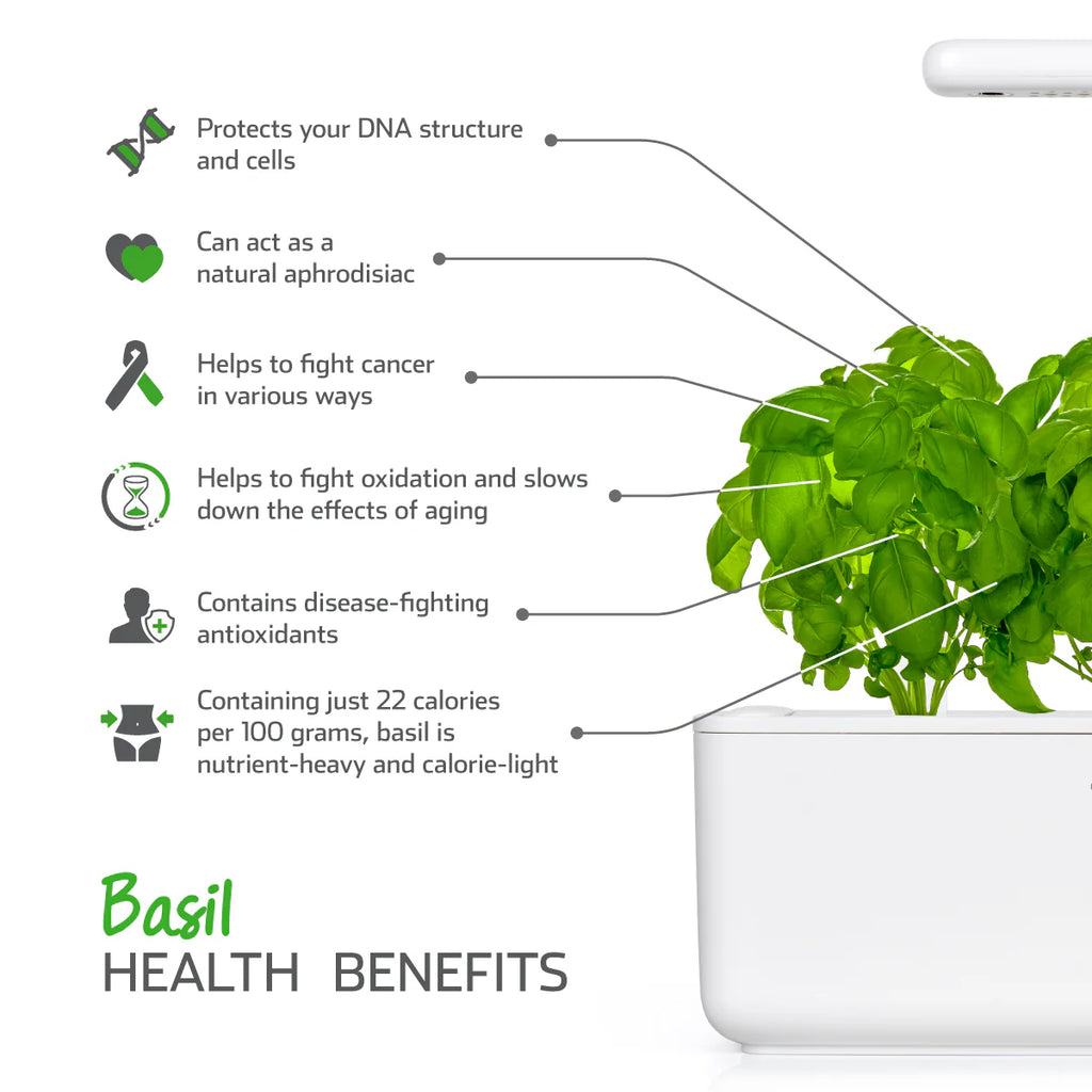 Click & Grow Seeds Basil