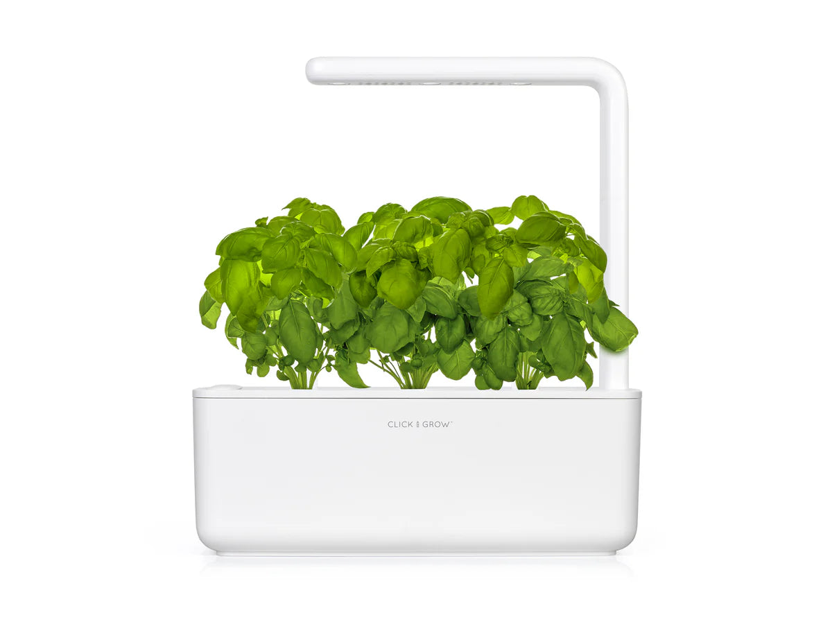 Click & Grow Seeds Basil