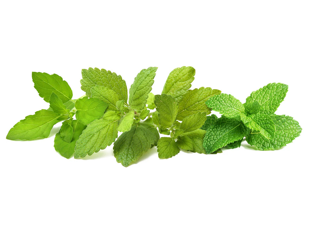 Click & Grow Seeds Calming Tea