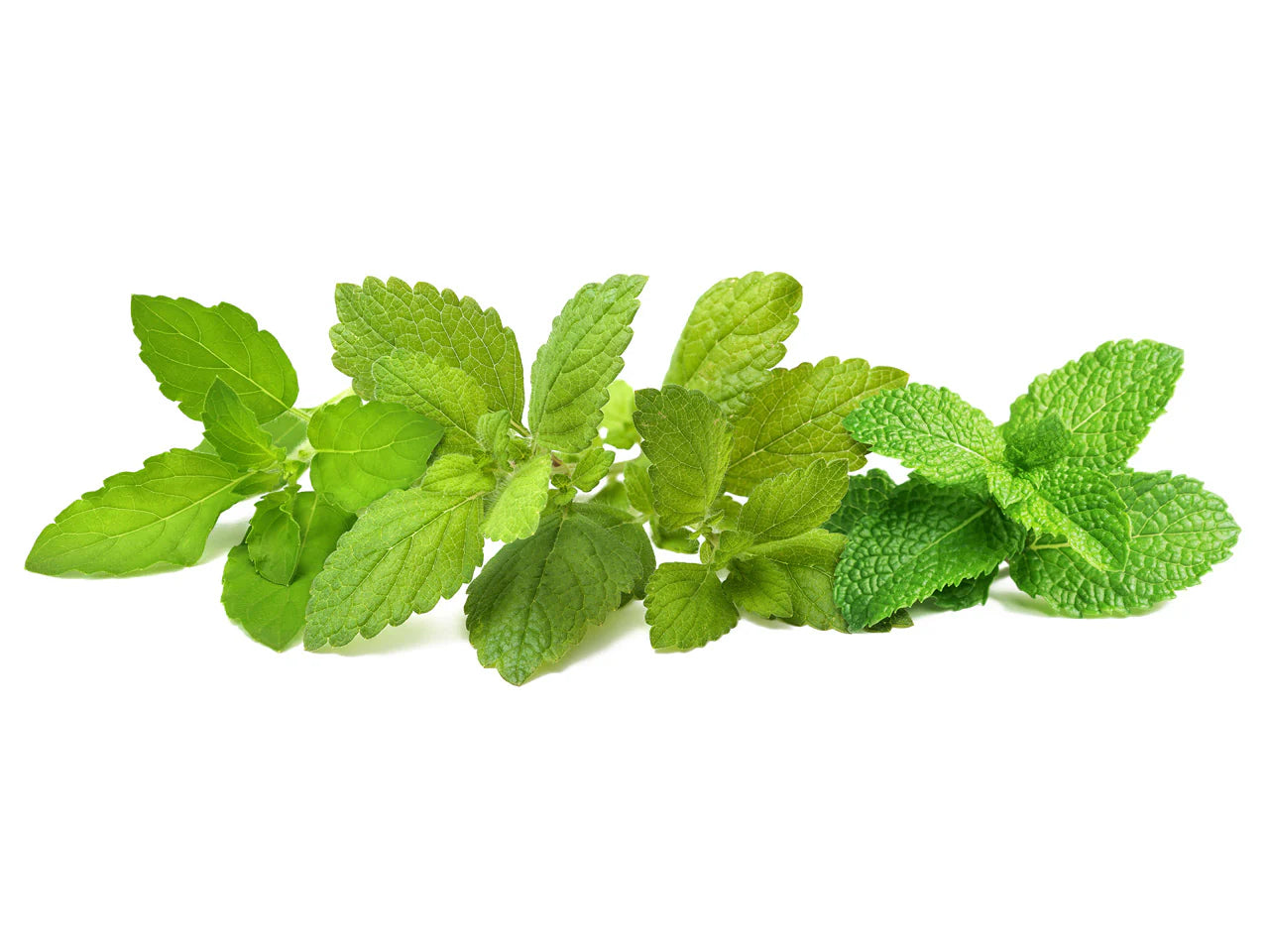 Click & Grow Seeds Calming Tea