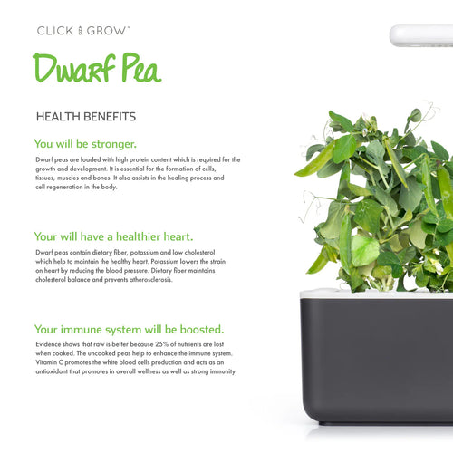 Click & Grow Dwarf Pea