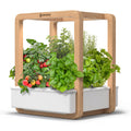 Ermonix Garden Cube