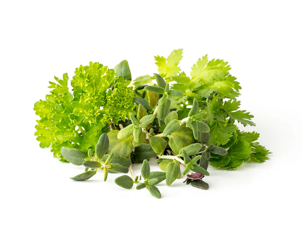 Click & Grow Seeds Steak Seasoning Mix