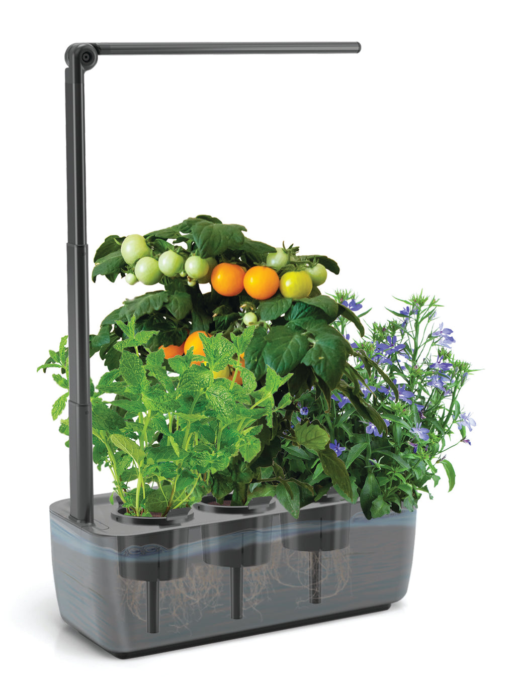 Ermonix Hydrogarden 3 Extendable Elite - Black