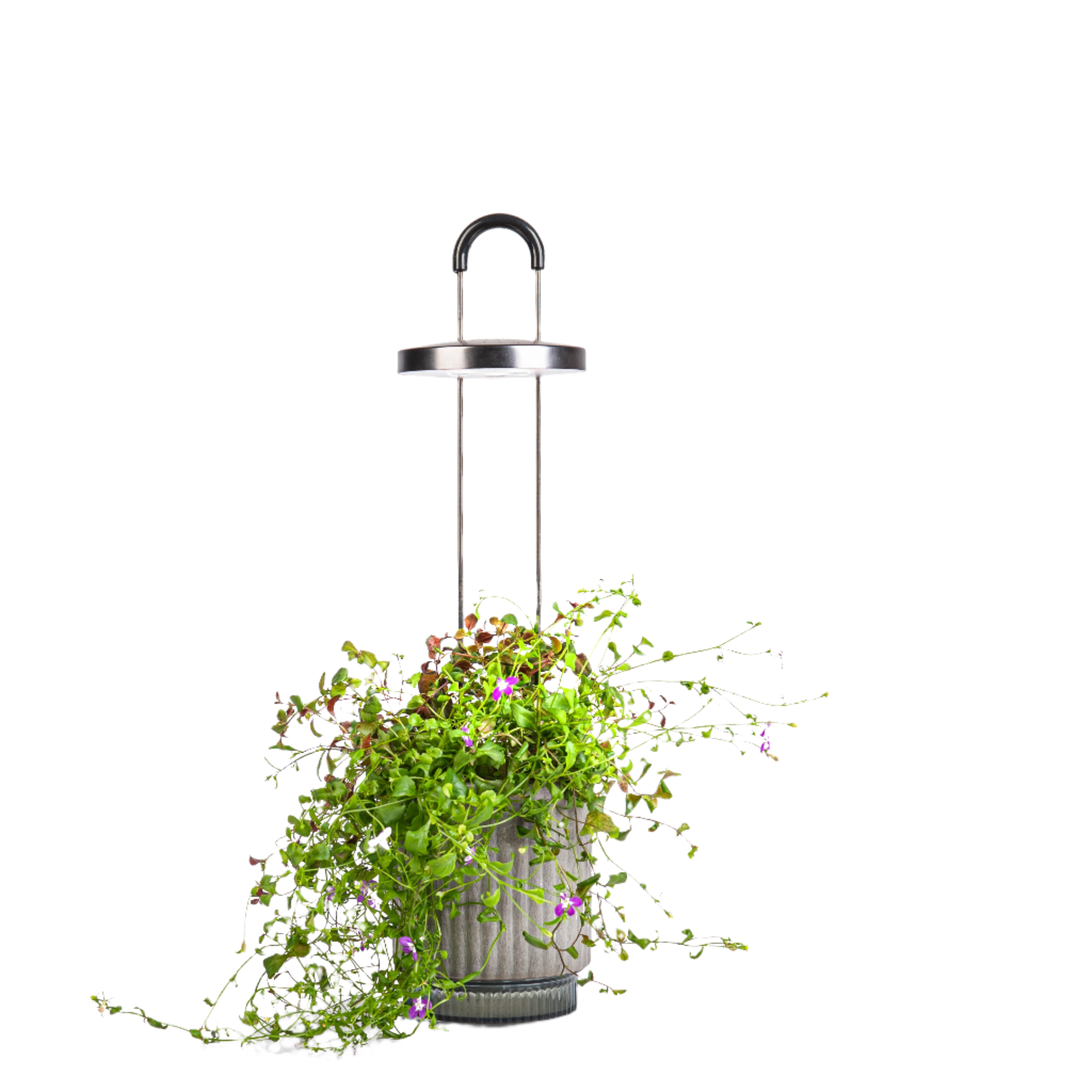 Ermonix HydroVase - Concrete