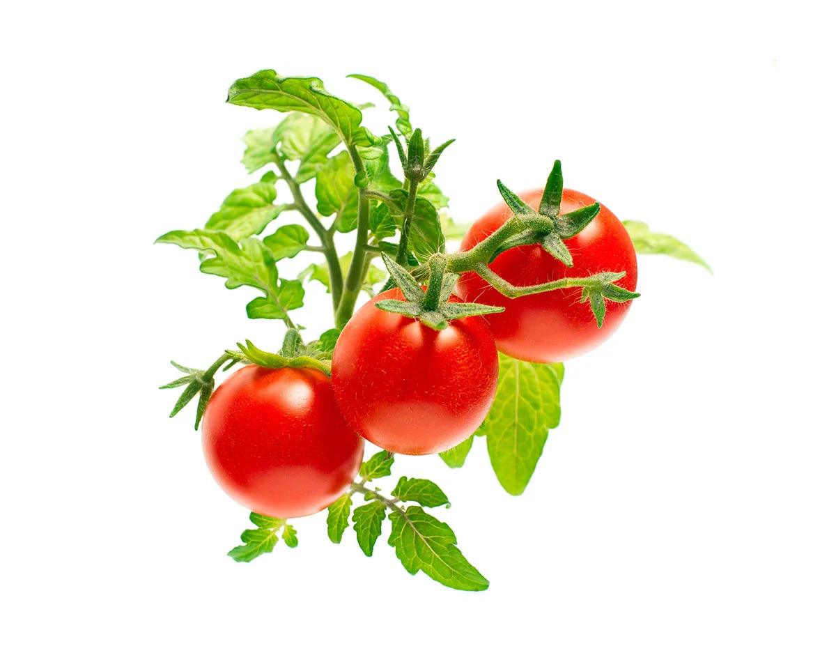Click & Grow Seeds Mini Tomato