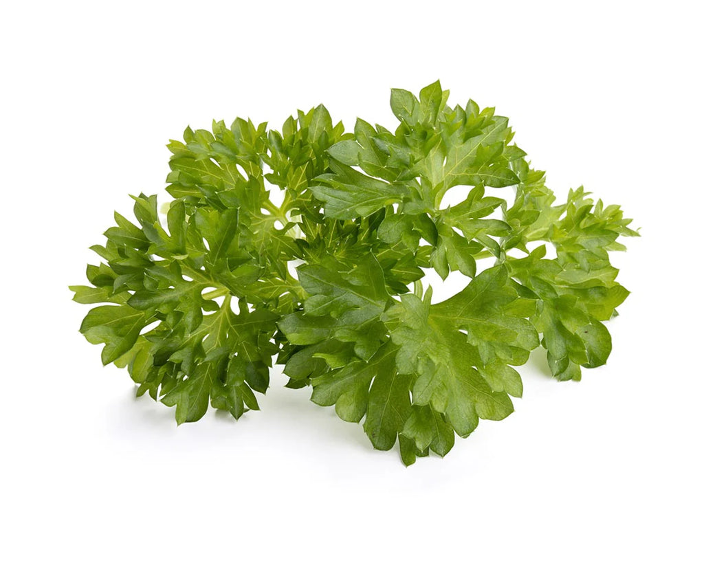 Click & Grow Seeds Parsley
