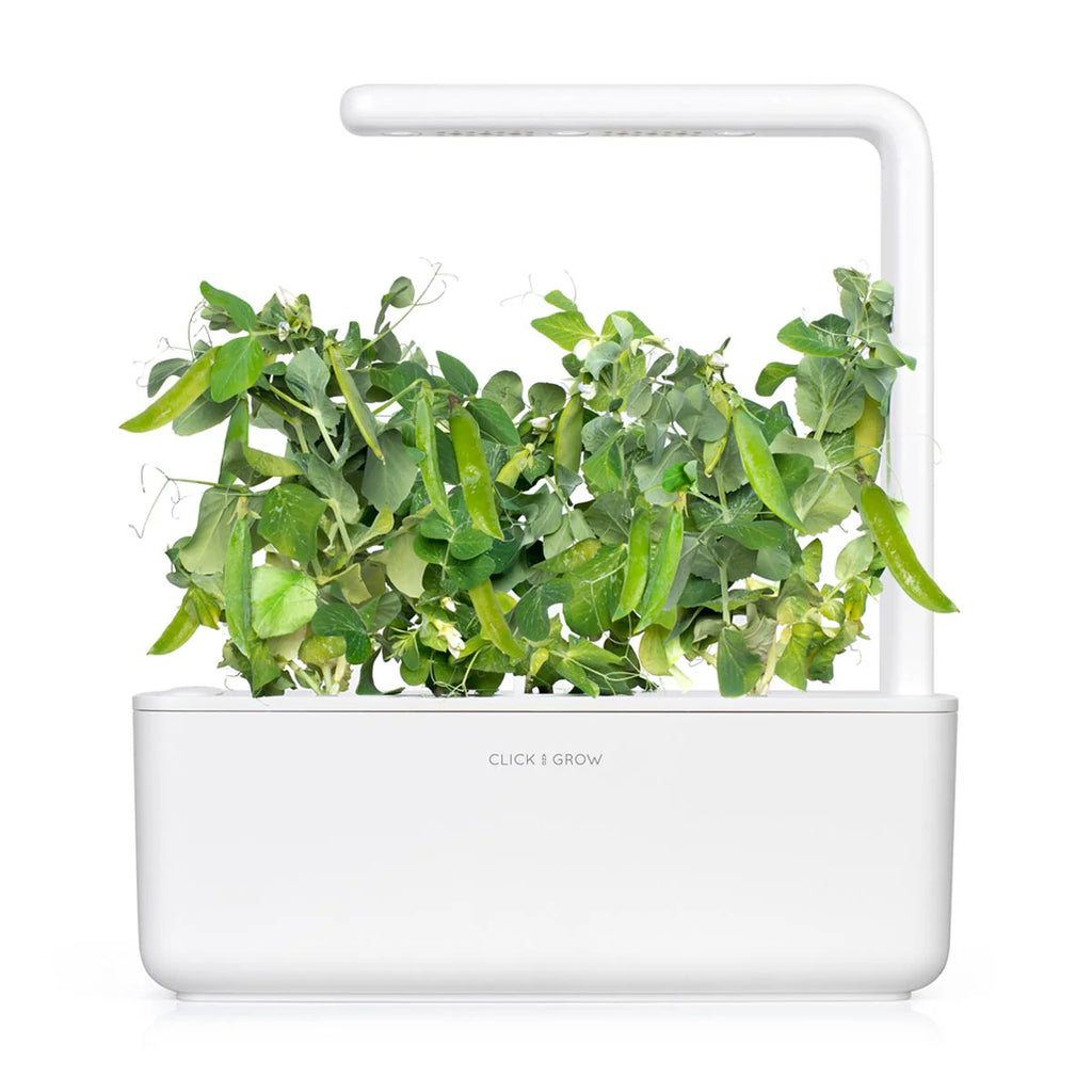 Click & Grow Dwarf Pea