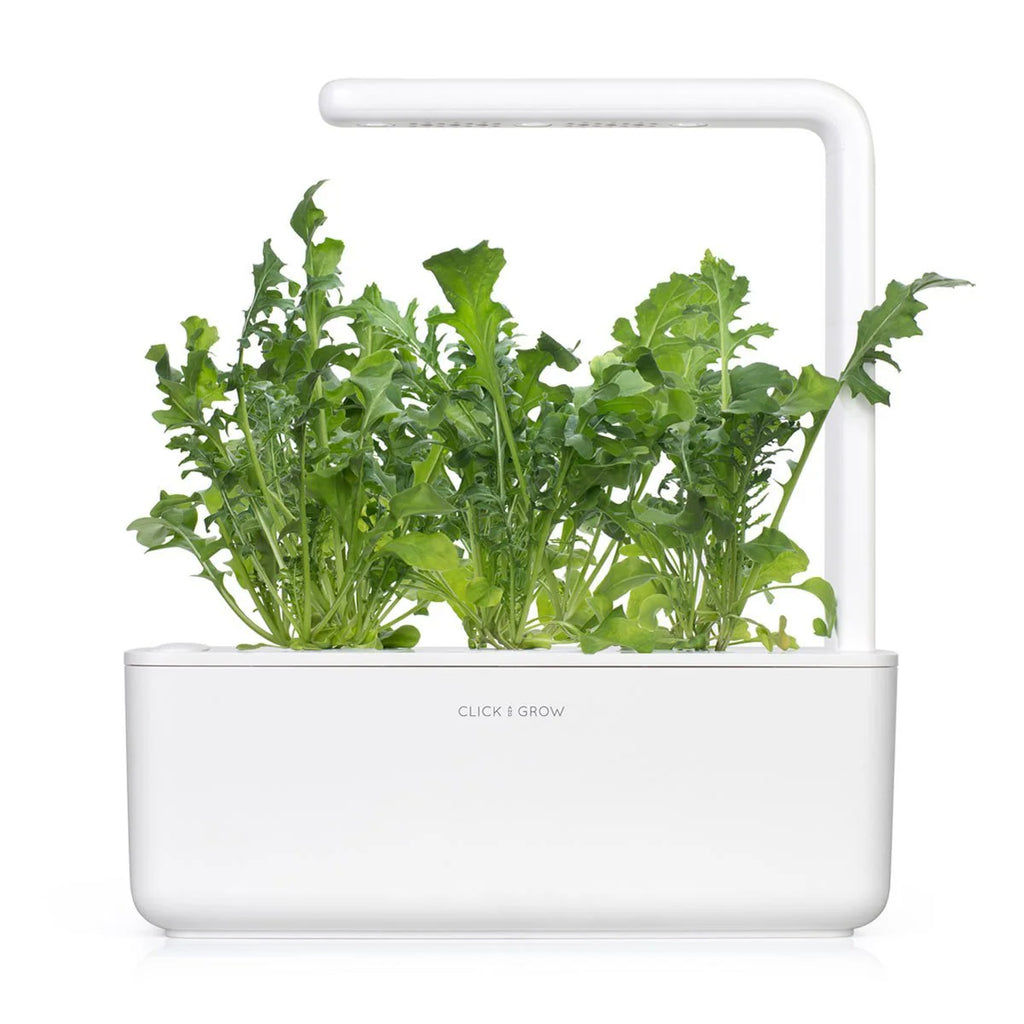 Click & Grow Seeds Arugula