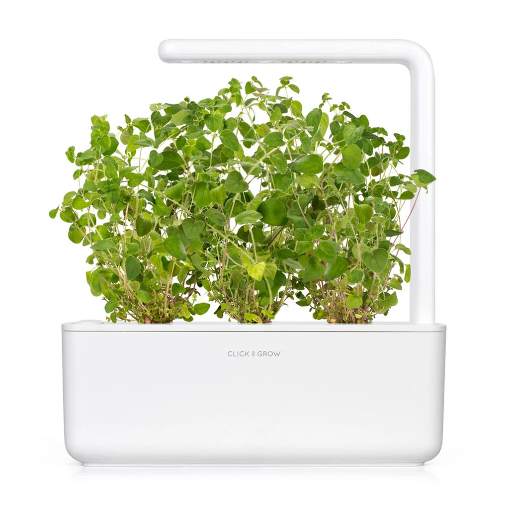 Click & Grow Seeds Oregano