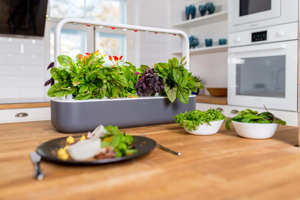 Click & Grow indoor smart garden 9 Grey